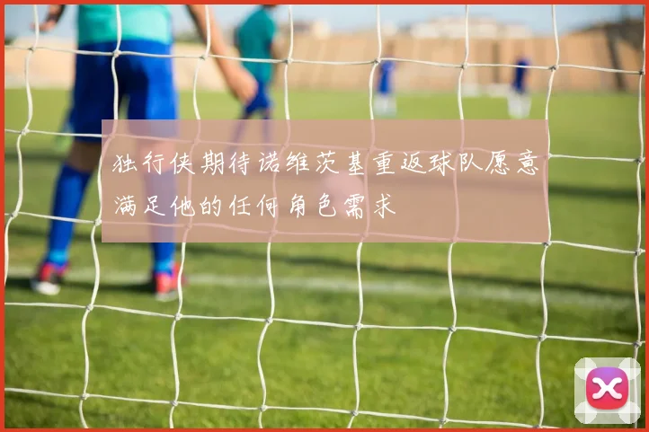 独行侠期待诺维茨基重返球队愿意满足他的任何角色需求